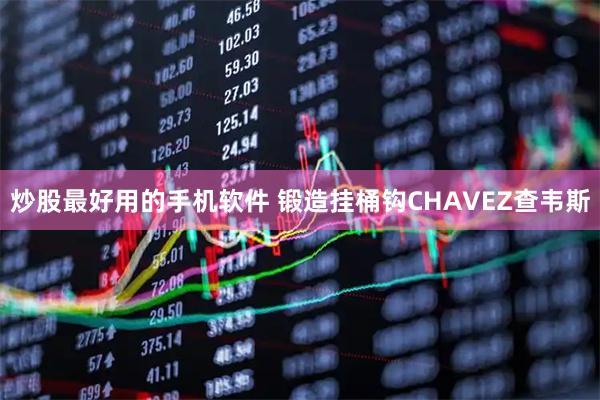 炒股最好用的手机软件 锻造挂桶钩CHAVEZ查韦斯